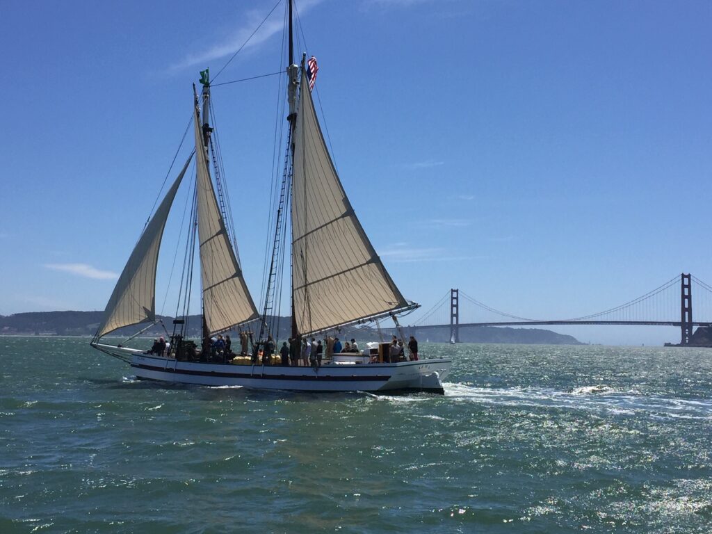 Golden Gate Yacht Survey