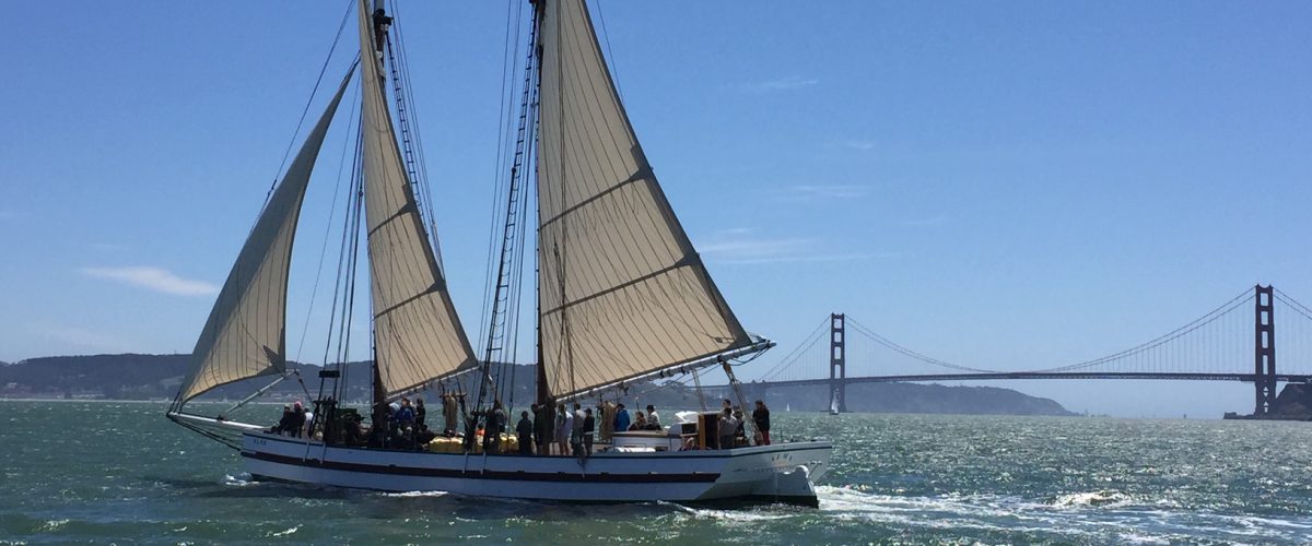 Golden Gate Yacht Survey